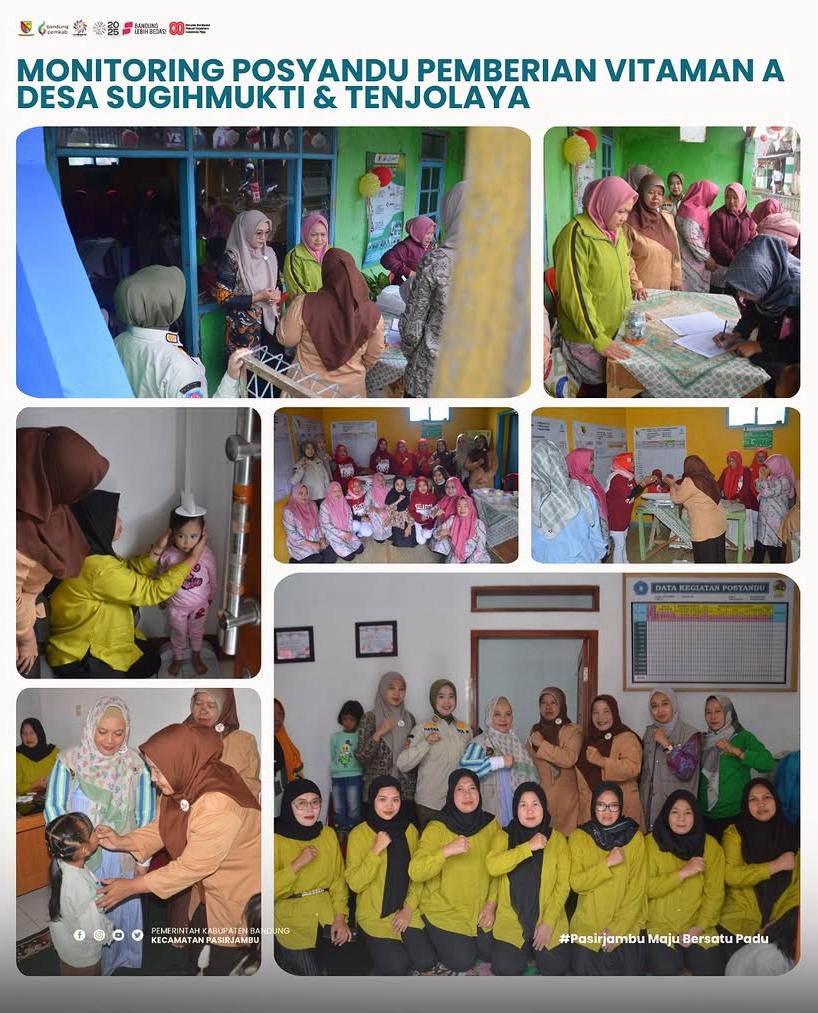 monitoring-posyandu-sekaligus-mendampingi-kegiatan-pemberian-vitamin-a-di-desa-cikoneng-dan-desa-mekarmaju