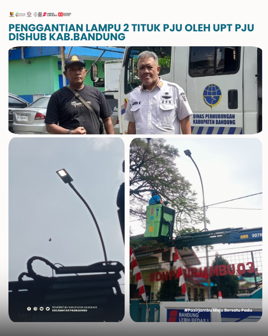 penggantianlampu-pju