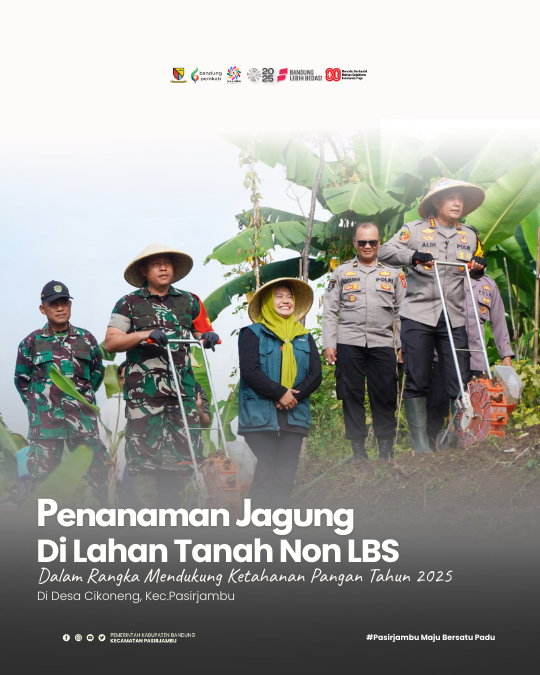 penanaman-jagung-di-lahan-tanah-non-lbs-yang-berlokasi-di-desa-cikoneng-kecamatan-pasirjambu
