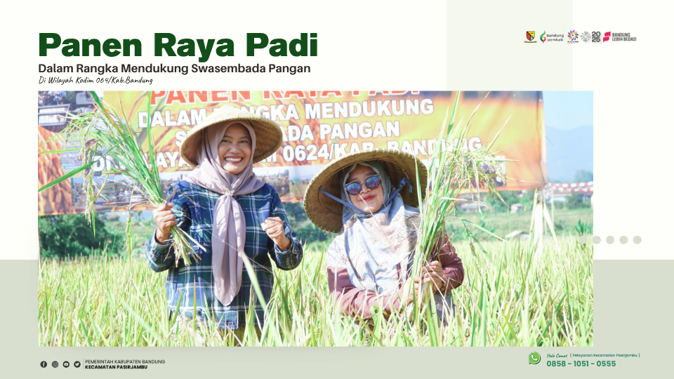 panen-raya-padi